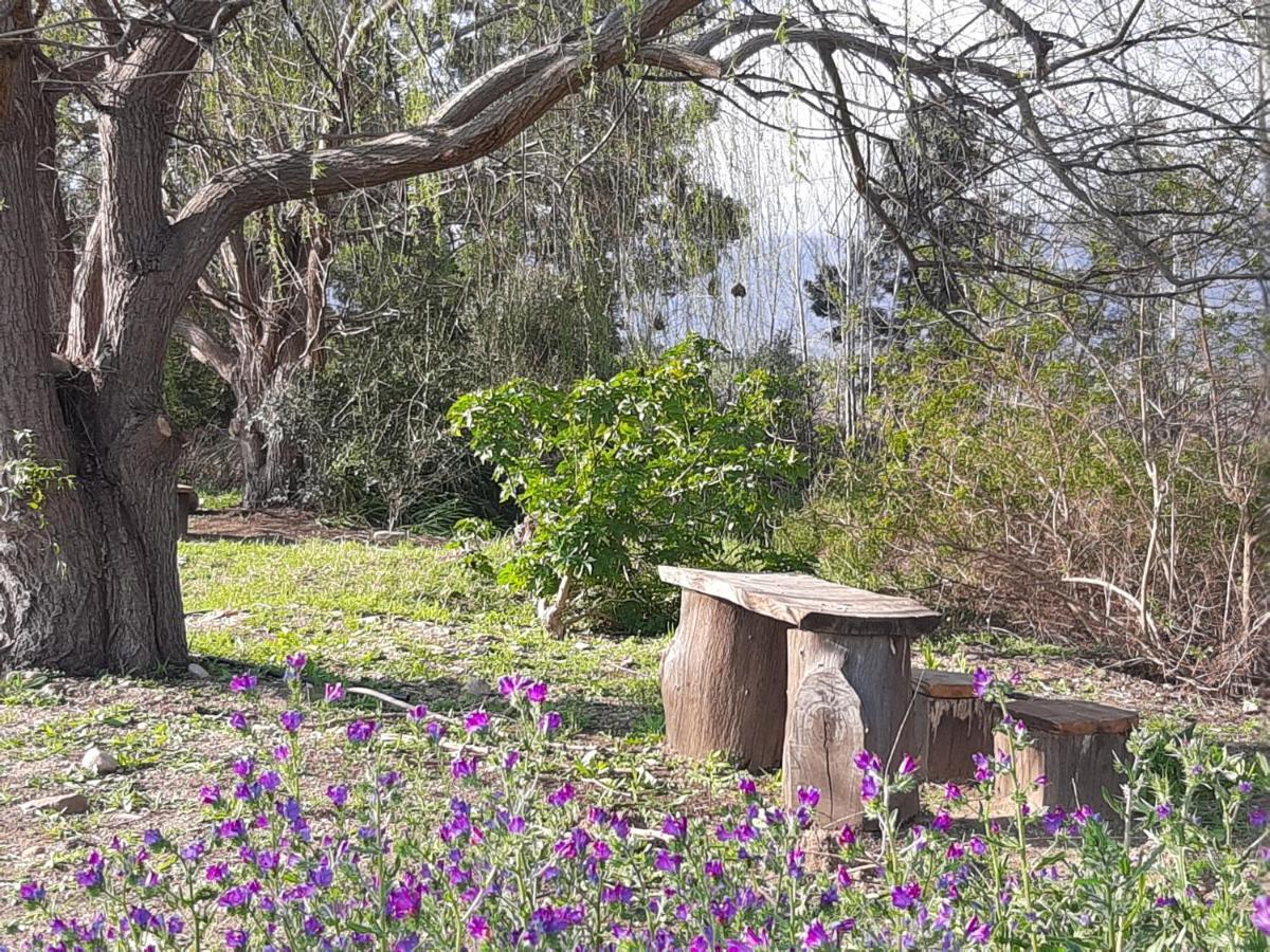 Klipfontein Rustic Farm & Camping Tulbagh Kültér fotó
