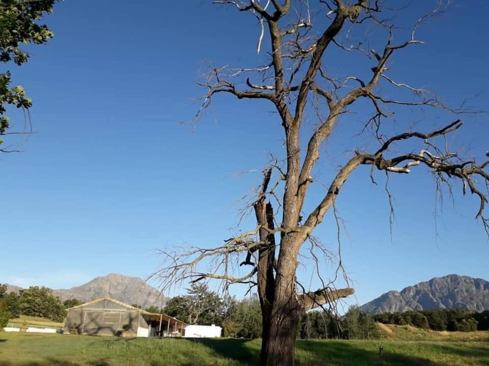 Klipfontein Rustic Farm & Camping Tulbagh Kültér fotó