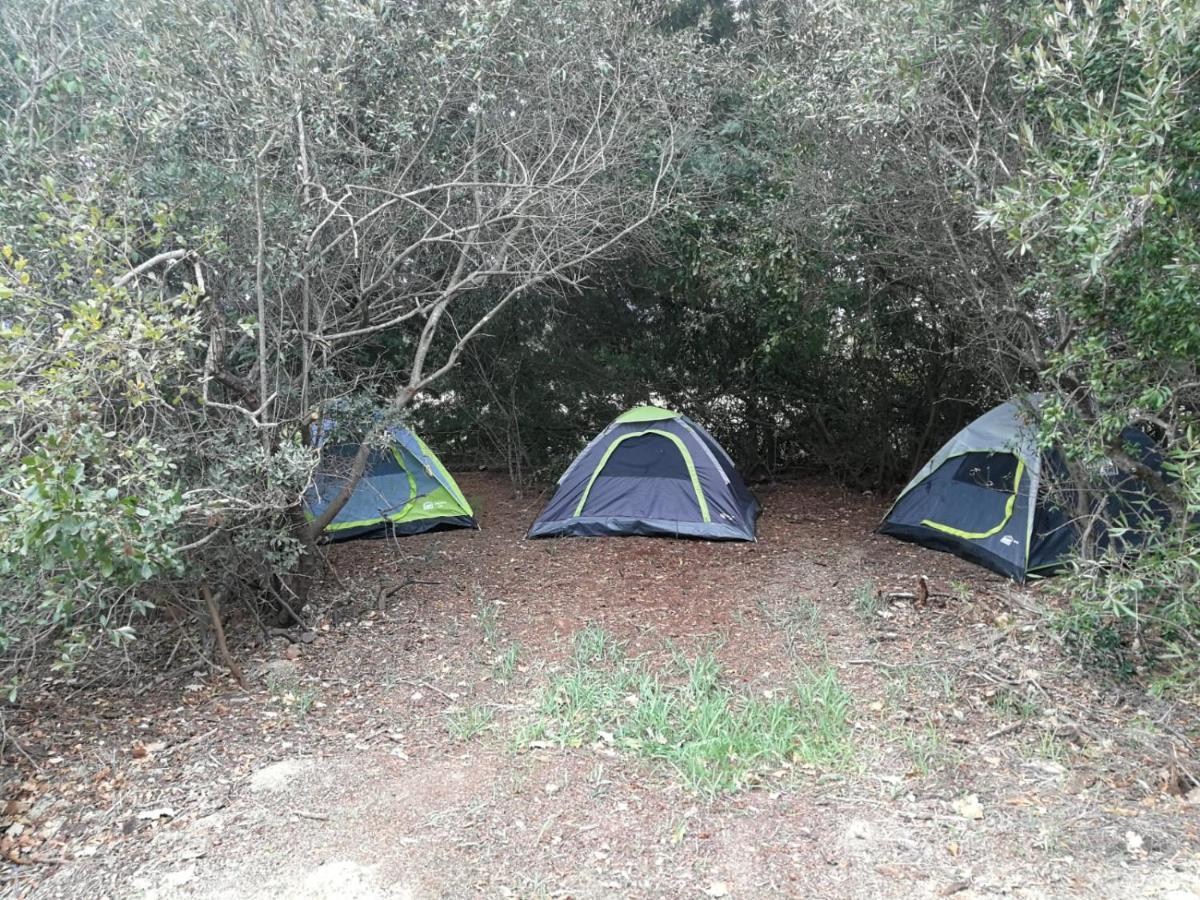 Klipfontein Rustic Farm & Camping Tulbagh Kültér fotó