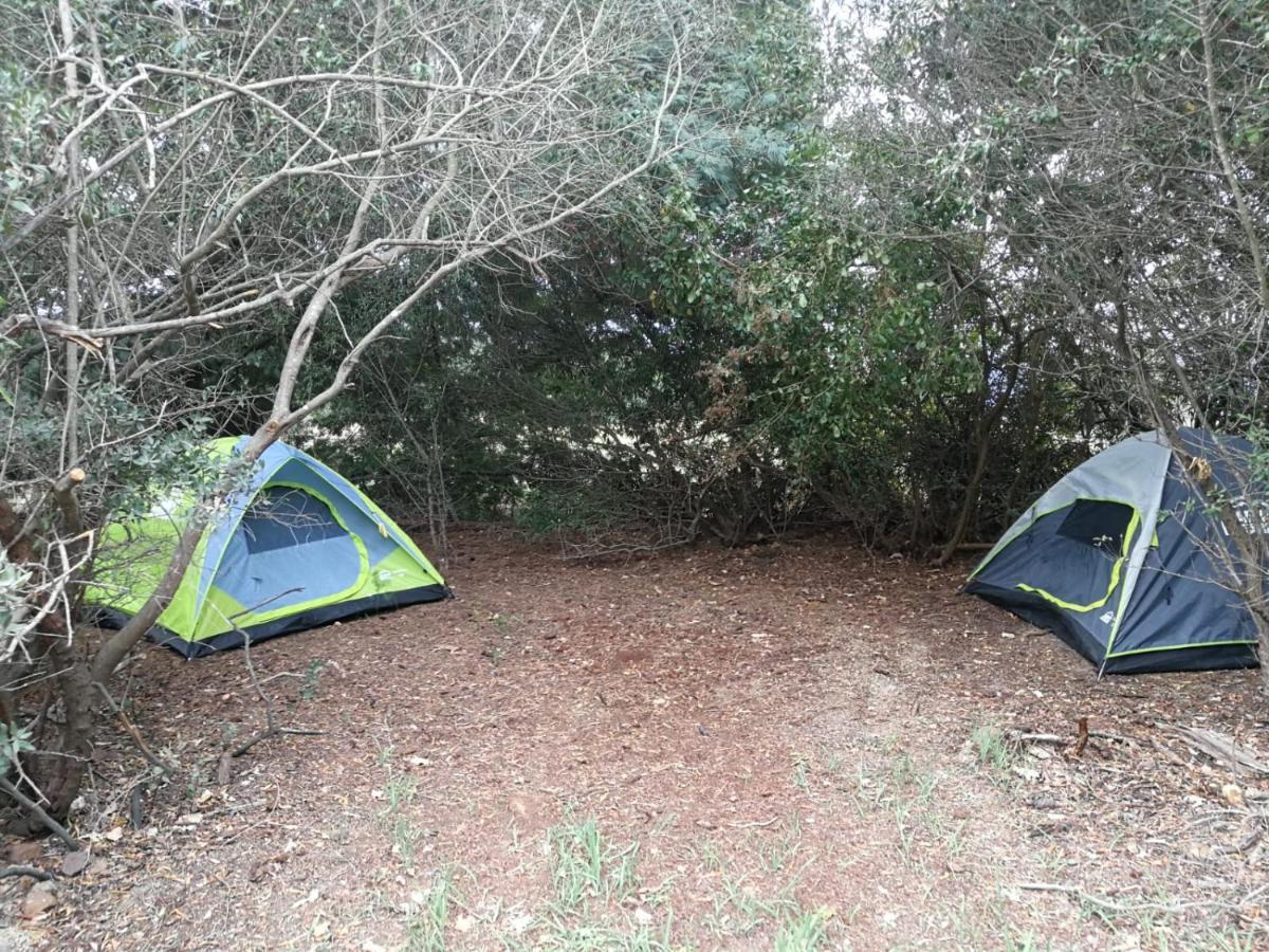 Klipfontein Rustic Farm & Camping Tulbagh Kültér fotó