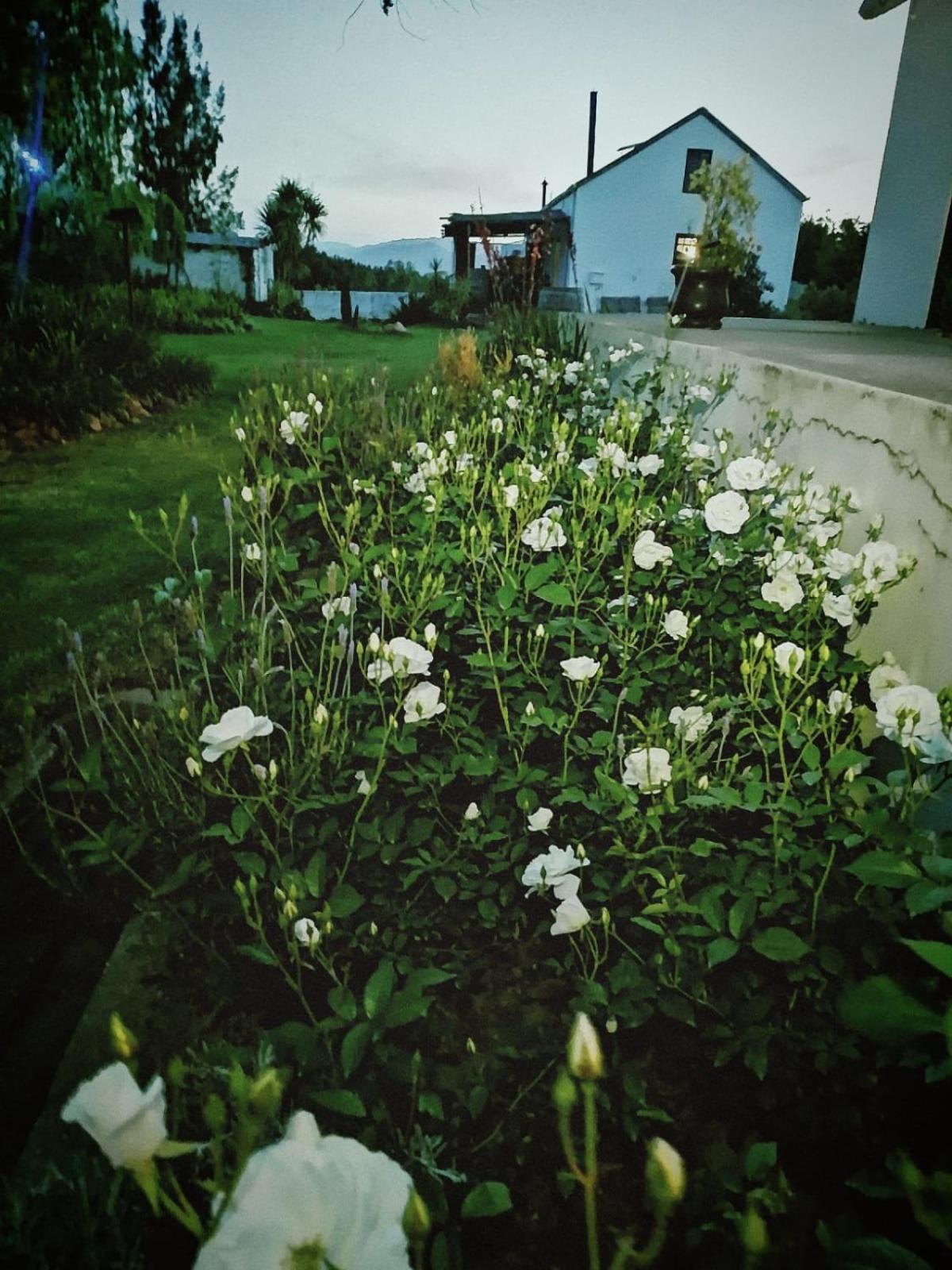 Klipfontein Rustic Farm & Camping Tulbagh Kültér fotó